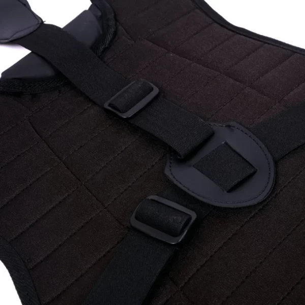 Softball Chest Protector - Image 3