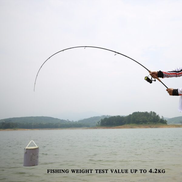 Fuji Lure Fishing Rod - Image 6