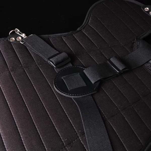 Softball Chest Protector - Image 5