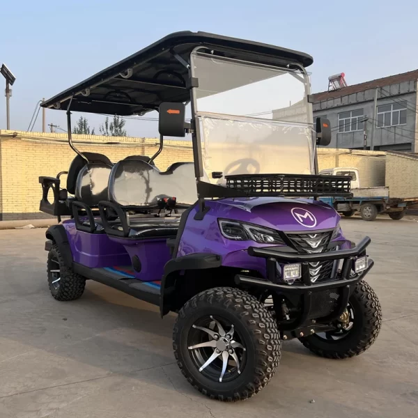 6 Seater Electric Golf Cart - Image 13