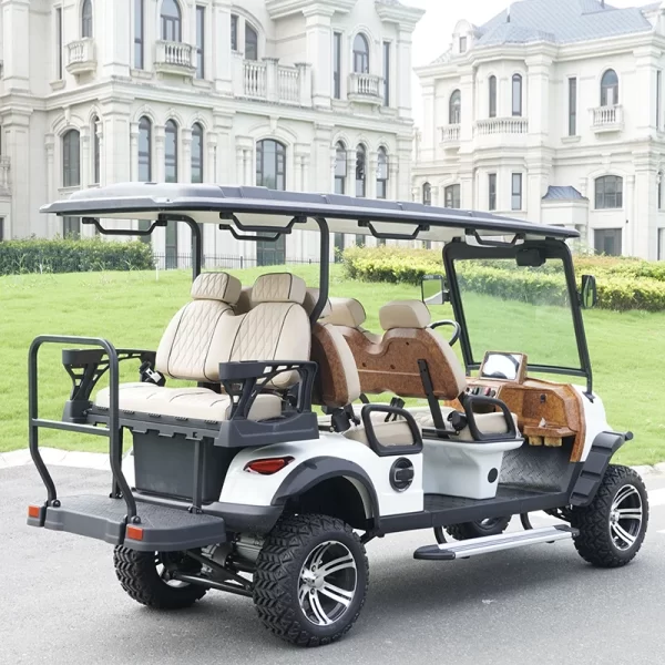 6 Seater Electric Golf Cart - Image 3